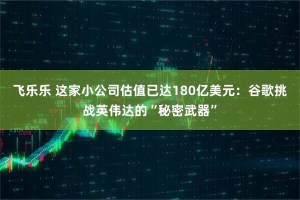 飞乐乐 这家小公司估值已达180亿美元：谷歌挑战英伟达的“秘密武器”
